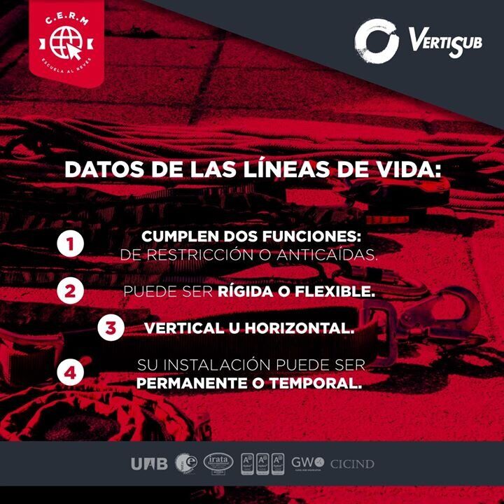 _Líneas+de+Vida+6_o